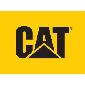 Logo cat